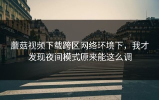 蘑菇视频下载跨区网络环境下，我才发现夜间模式原来能这么调