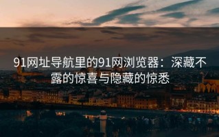 91网址导航里的91网浏览器：深藏不露的惊喜与隐藏的惊悉