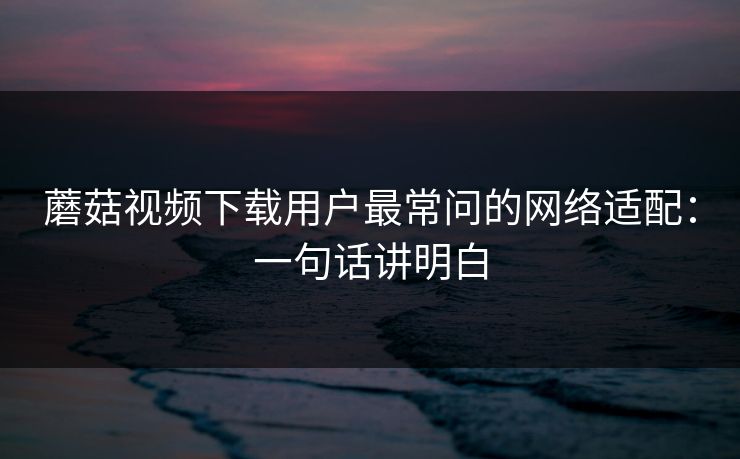 蘑菇视频下载用户最常问的网络适配：一句话讲明白