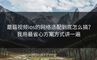 蘑菇视频ios的网络适配到底怎么搞？我用最省心方案方式讲一遍
