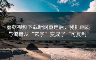 蘑菇视频下载断网重连后，我把画质与流量从“玄学”变成了“可复制”