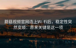 蘑菇视频官网连上Wi‑Fi后，稳定性突然变顺：原来关键是这一项