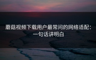 蘑菇视频下载用户最常问的网络适配：一句话讲明白
