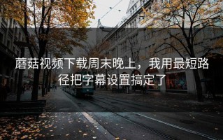 蘑菇视频下载周末晚上，我用最短路径把字幕设置搞定了