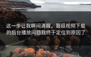 这一步让我瞬间清醒，蘑菇视频下载的后台播放问题我终于定位到原因了