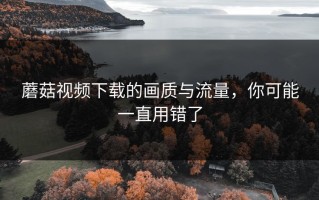 蘑菇视频下载的画质与流量，你可能一直用错了