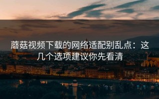 蘑菇视频下载的网络适配别乱点：这几个选项建议你先看清