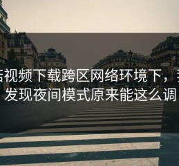 蘑菇视频下载跨区网络环境下，我才发现夜间模式原来能这么调
