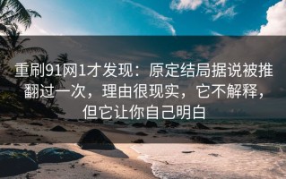 重刷91网1才发现：原定结局据说被推翻过一次，理由很现实，它不解释，但它让你自己明白