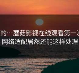 说真的…蘑菇影视在线观看第一次用，网络适配居然还能这样处理