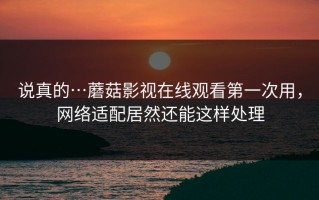 说真的…蘑菇影视在线观看第一次用，网络适配居然还能这样处理