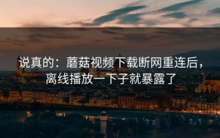 说真的：蘑菇视频下载断网重连后，离线播放一下子就暴露了