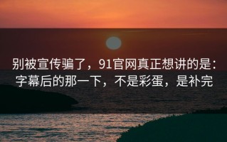 别被宣传骗了，91官网真正想讲的是：字幕后的那一下，不是彩蛋，是补完