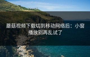 蘑菇视频下载切到移动网络后：小窗播放别再乱试了