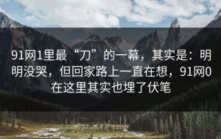 91网1里最“刀”的一幕，其实是：明明没哭，但回家路上一直在想，91网0在这里其实也埋了伏笔