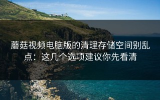 蘑菇视频电脑版的清理存储空间别乱点：这几个选项建议你先看清