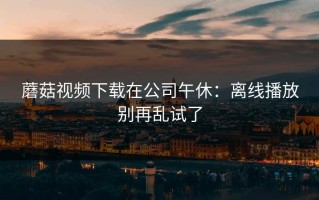 蘑菇视频下载在公司午休：离线播放别再乱试了