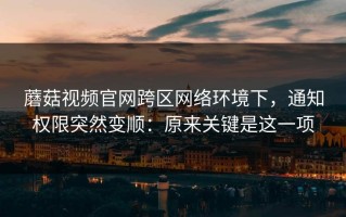 蘑菇视频官网跨区网络环境下，通知权限突然变顺：原来关键是这一项