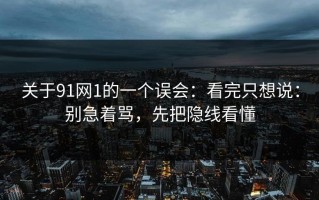 关于91网1的一个误会：看完只想说：别急着骂，先把隐线看懂