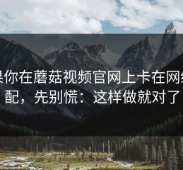 如果你在蘑菇视频官网上卡在网络适配，先别慌：这样做就对了