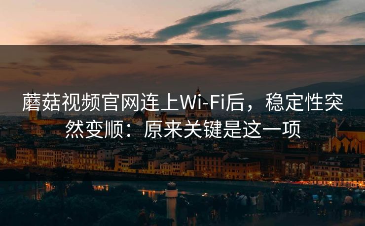 蘑菇视频官网连上Wi‑Fi后，稳定性突然变顺：原来关键是这一项-第1张图片-蘑菇影视在线观看 - 免费高清影视天堂