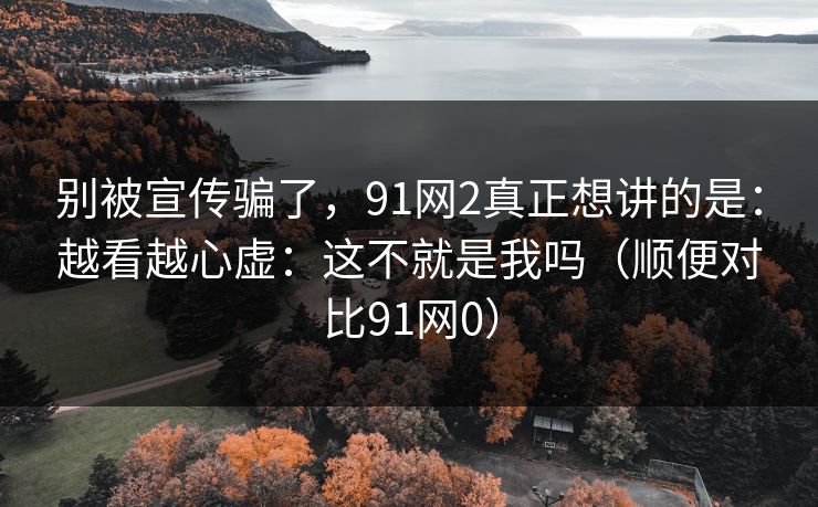 别被宣传骗了，91网2真正想讲的是：越看越心虚：这不就是我吗（顺便对比91网0）