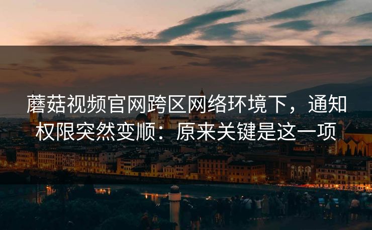 蘑菇视频官网跨区网络环境下，通知权限突然变顺：原来关键是这一项-第1张图片-蘑菇影视在线观看 - 免费高清影视天堂