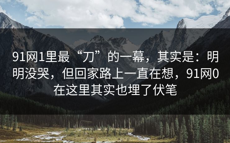 91网1里最“刀”的一幕，其实是：明明没哭，但回家路上一直在想，91网0在这里其实也埋了伏笔-第1张图片-蘑菇影视在线观看 - 免费高清影视天堂