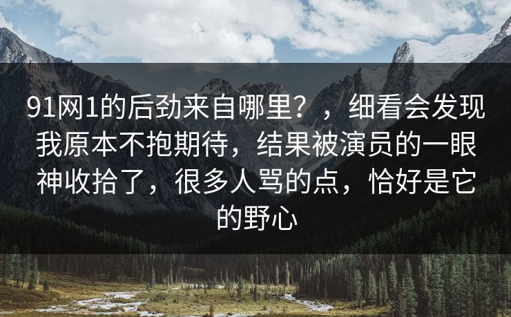 91网1的后劲来自哪里？，细看会发现我原本不抱期待，结果被演员的一眼神收拾了，很多人骂的点，恰好是它的野心