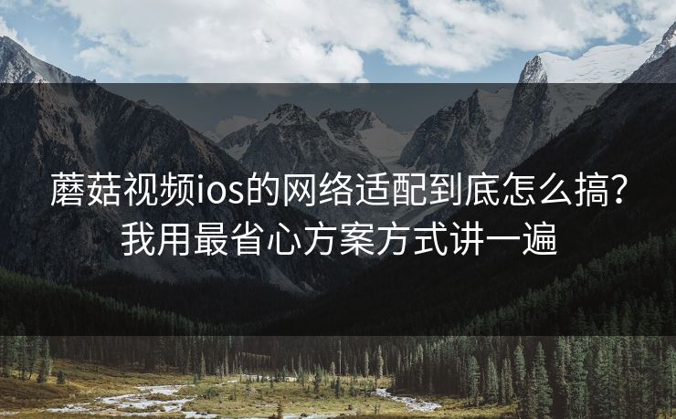 蘑菇视频ios的网络适配到底怎么搞？我用最省心方案方式讲一遍-第1张图片-蘑菇影视在线观看 - 免费高清影视天堂