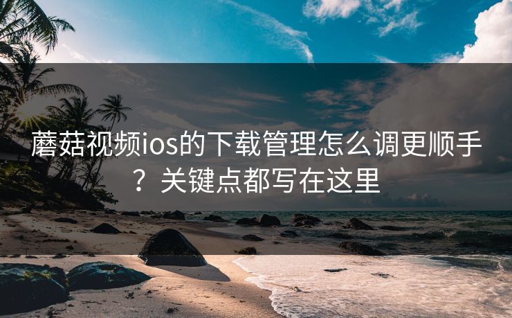 蘑菇视频ios的下载管理怎么调更顺手？关键点都写在这里