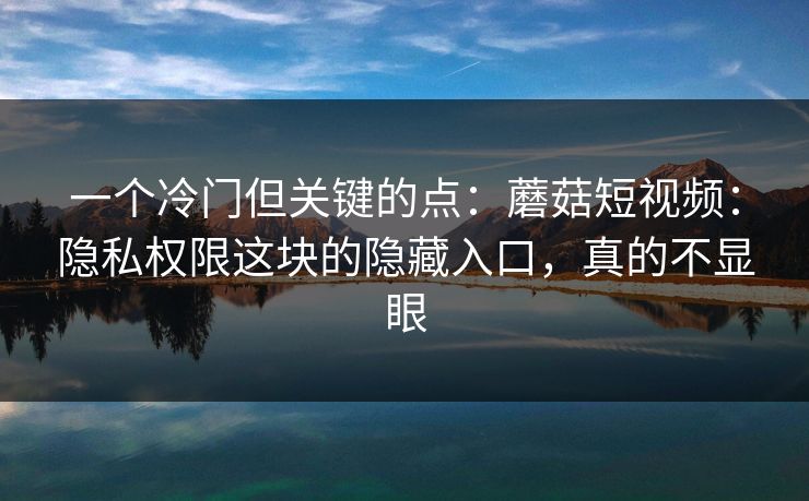 一个冷门但关键的点：蘑菇短视频：隐私权限这块的隐藏入口，真的不显眼-第1张图片-蘑菇影视在线观看 - 免费高清影视天堂