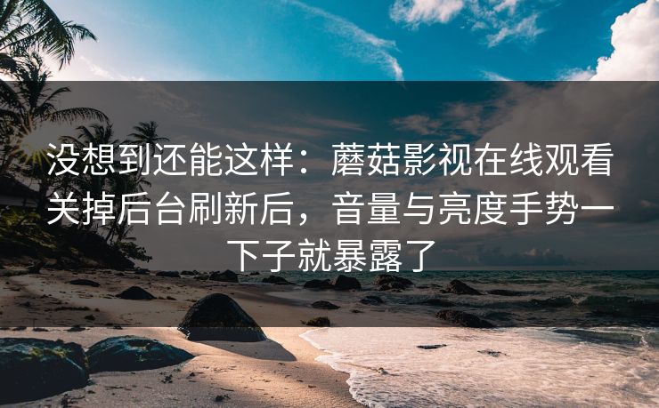没想到还能这样：蘑菇影视在线观看关掉后台刷新后，音量与亮度手势一下子就暴露了-第1张图片-蘑菇影视在线观看 - 免费高清影视天堂