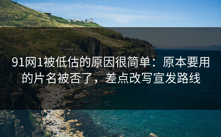 91网1被低估的原因很简单：原本要用的片名被否了，差点改写宣发路线
