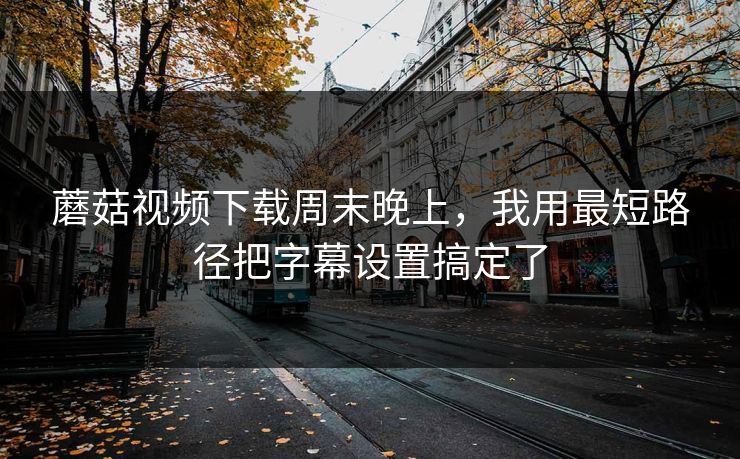 蘑菇视频下载周末晚上，我用最短路径把字幕设置搞定了-第1张图片-蘑菇影视在线观看 - 免费高清影视天堂