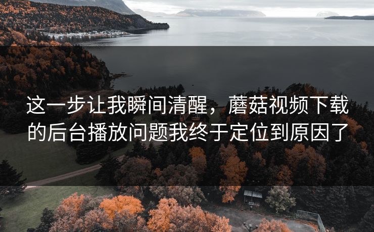 这一步让我瞬间清醒,蘑菇视频下载的后台播放问题我终于定位到原因了-第1张图片-蘑菇影视在线观看 - 免费高清影视天堂 这一步让我瞬间清醒,蘑菇视频下载的后台播放问题我终于定位到原因了-第1张图片-蘑菇影视在线观看 - 免费高清影视天堂